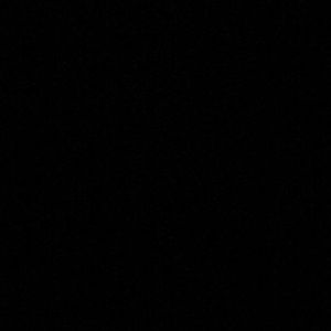 Meet your Posher, Daisy